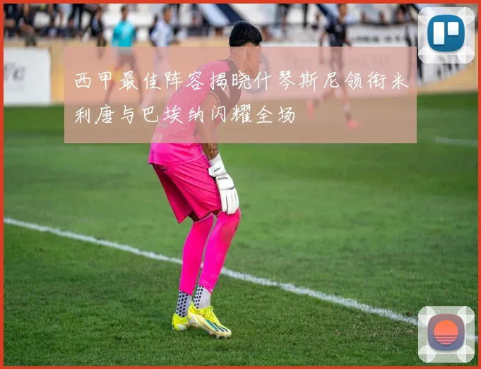 西甲最佳阵容揭晓什琴斯尼领衔米利唐与巴埃纳闪耀全场