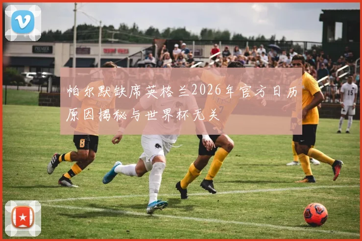 帕尔默缺席英格兰2026年官方日历原因揭秘与世界杯无关