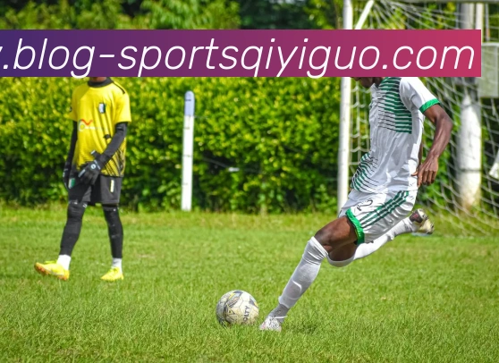 奇异果体育APP 封面图